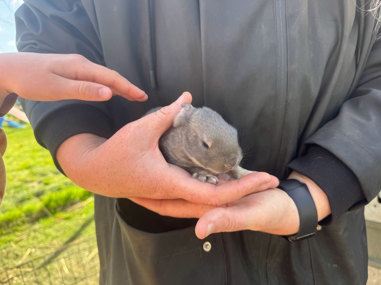 Lente make-up look gebaseerd op een pasgeboren konijntje